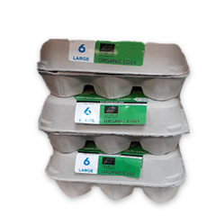 Organic Eggs Large 6 Pack