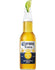 Corona Extra Mexican Lager Beer - Bottle 330ml - Richmond Greens Grocery